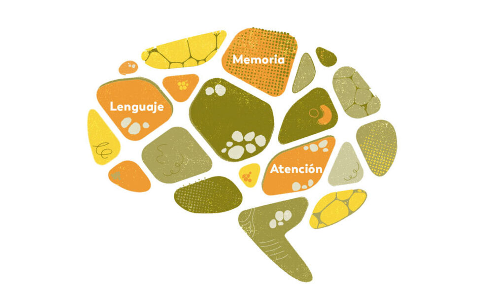 Blogs Habilidades Cognitivas