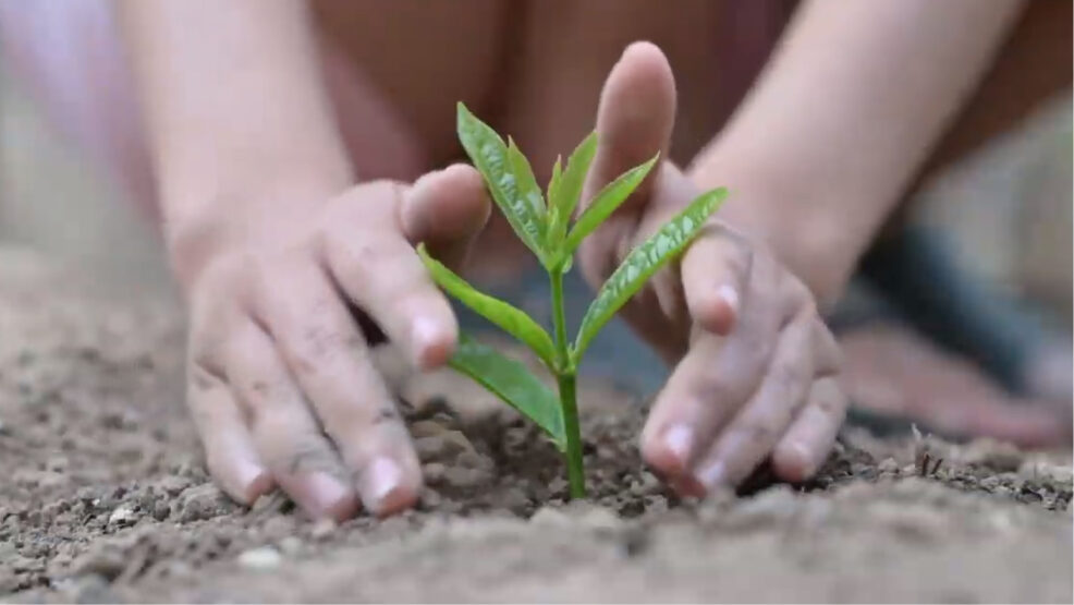 Inspira proyectos globalizados y emocionantes para aprender desde la calma y la experimentacion
